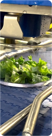 salad-dosing